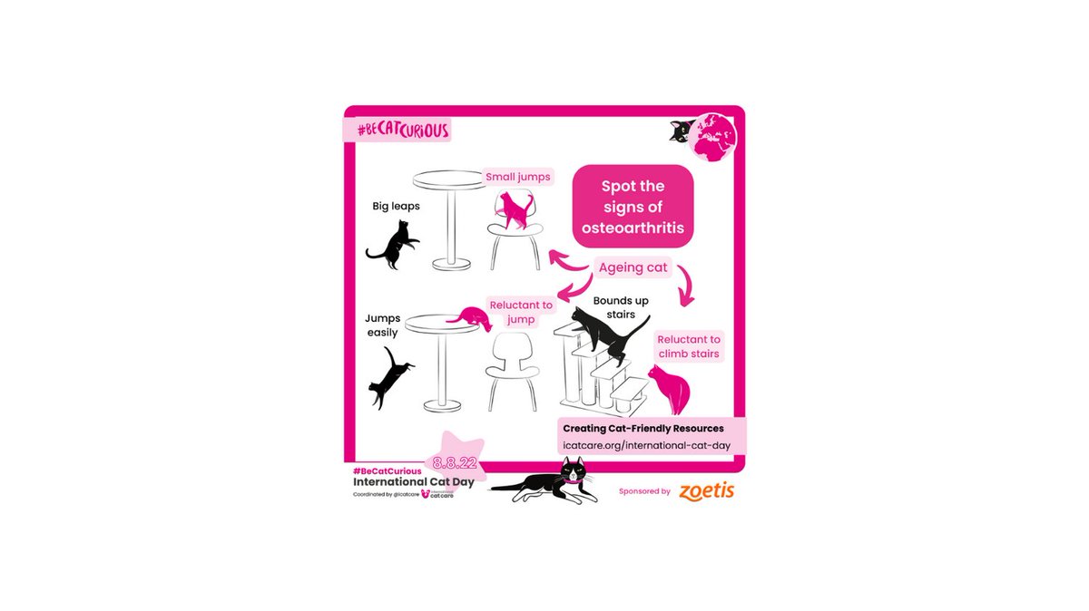 Continuing the build up to International Cat Day - here's another great infographic from our friends at ICC. 
Have you noticed any of these signs in your cat? If so, do mention it to your vet! #becatcurious