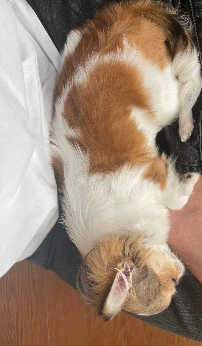 K_Hamster_H's tweet photo. 기현이 프메 배경 ㅠㅠ 봉숙이ㅠㅠㅠㅠ https://t.co/fDwb1Nvd8b