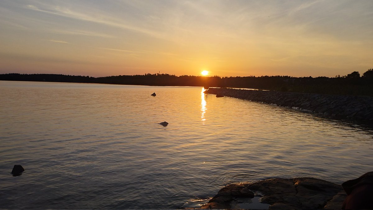 Eva Gril tweet media