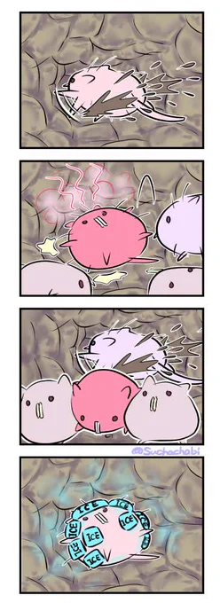 818日目 働くハダカデバネズミ 