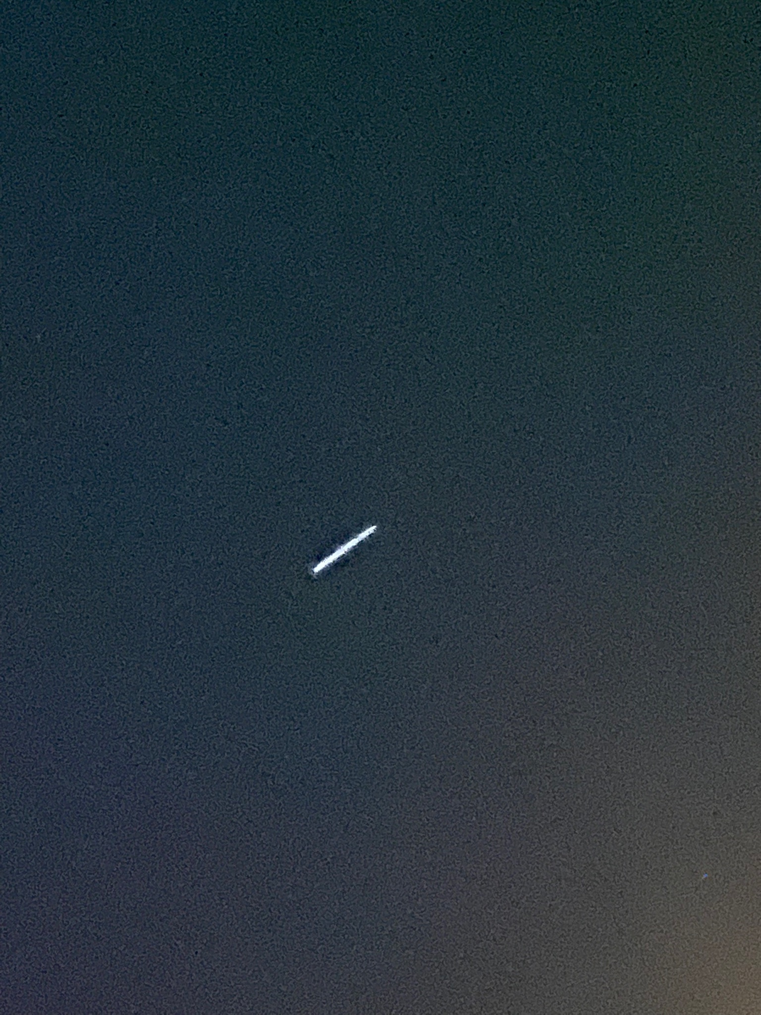 tasha-on-twitter-elonmusk-is-this-you-we-saw-this-suddenly-appear