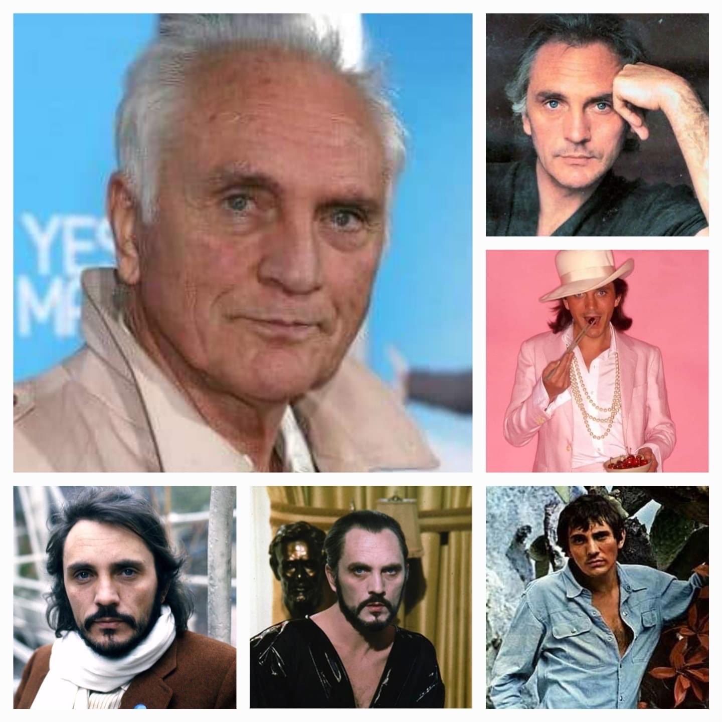 Happy 84th birthday Terence Stamp! The British icon and legend. 