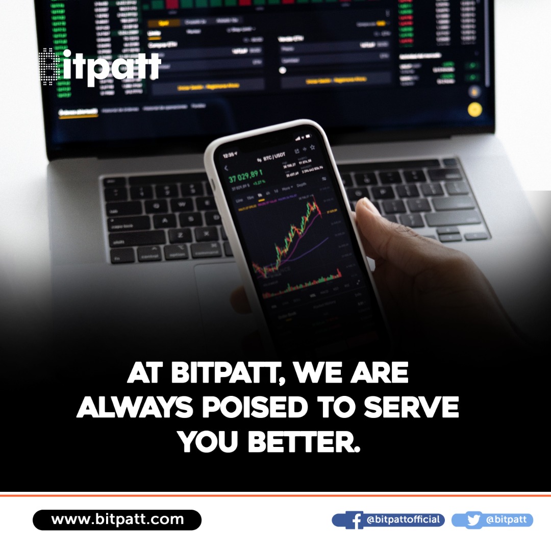 bitpatt tweet picture