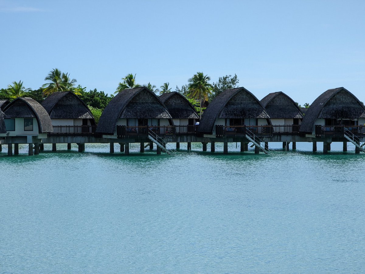 dave_wg's tweet photo. Travel adventure begins.
#bulabula #fijidiaries https://t.co/EgG0b53bXr