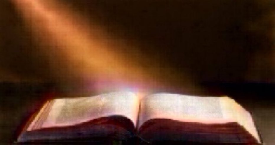 MarzenaBrejnak's tweet photo. #SzczęśćBoże dziś #23Lipca Święto #śwBrygida zakonnicy, Patronki Europy

#BibliaNaDziś: "Jeżeli we Mnie trwać będziecie, a słowa moje w was, poproście, o cokolwiek chcecie, a to wam się spełni" (J 15, 1-8). https://t.co/rSyw5nMgeg