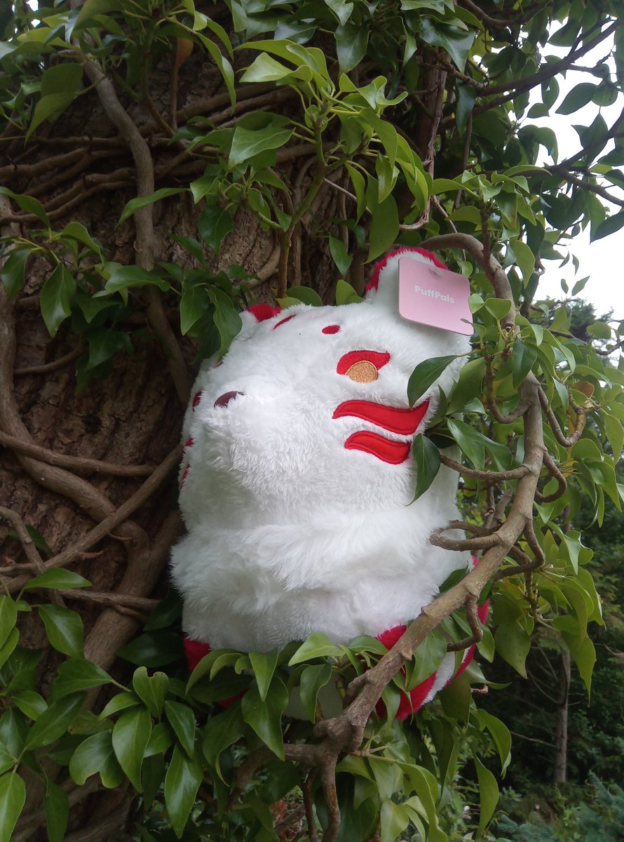 Flitterkriz's tweet image. #Plushys from @fluffnest had some fun taking photos! (More if them on my insta) here we have #murphy #tsuki #kichi #puffpals #fluffnest can&apos;t wait for the #videogame #puffpalsislandskies