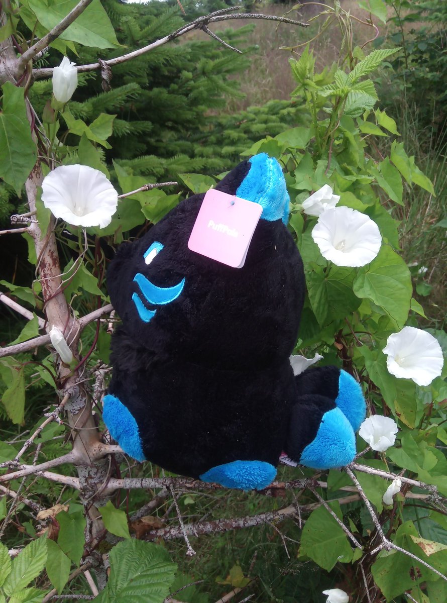 Flitterkriz's tweet image. #Plushys from @fluffnest had some fun taking photos! (More if them on my insta) here we have #murphy #tsuki #kichi #puffpals #fluffnest can&apos;t wait for the #videogame #puffpalsislandskies