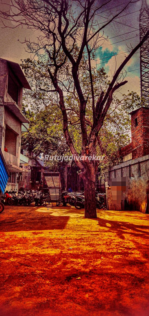 rutu_adi's tweet photo. Trees can be contorted, bent in weird ways, and they're still beautiful
.
.
.
.
.
.
#sakinakamumbai #likeforlikes #beautifulnature #capturenature #heavenonearth #natureisbeautiful #mobilephotography #nature #shadeofnature #shadyview #PhotoOfTheDay #naturelover #lovenature #heaven https://t.co/kfFxVmyJ80
