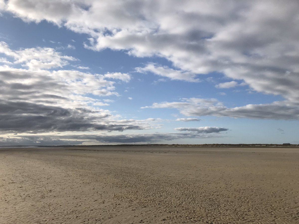 Saskia Luijer tweet media