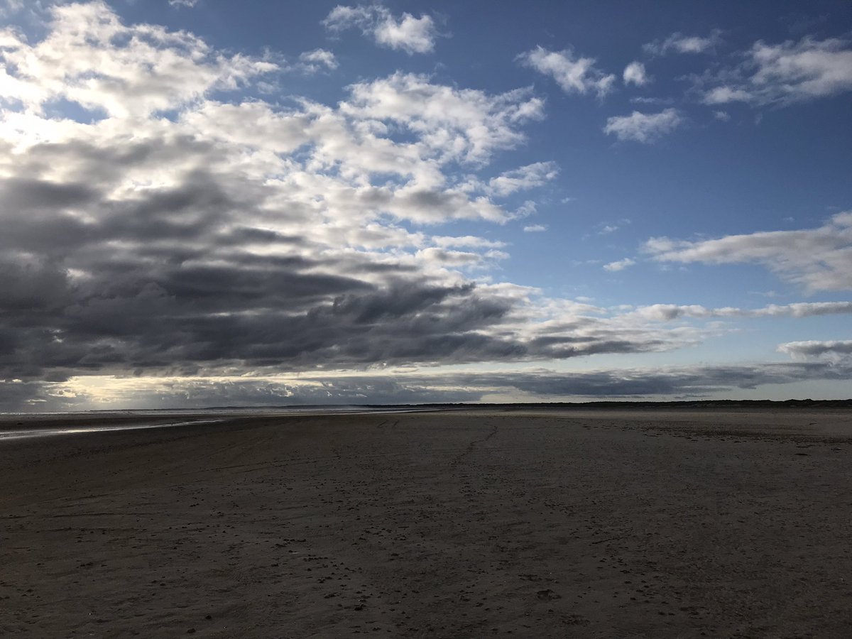 Saskia Luijer tweet media