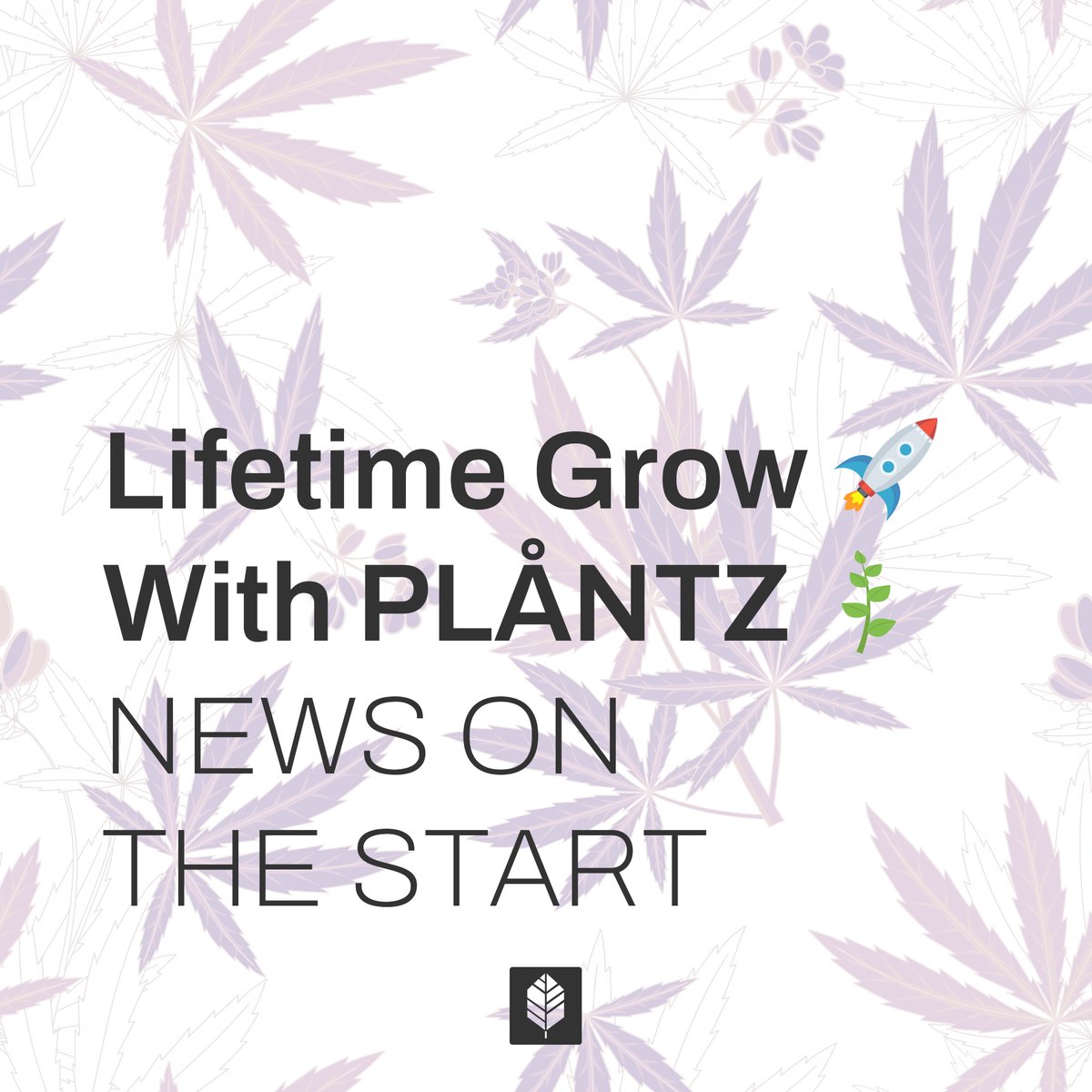 Plåntz tweet media