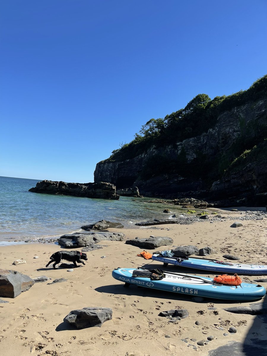 Pembrokeshire_Pirate tweet media