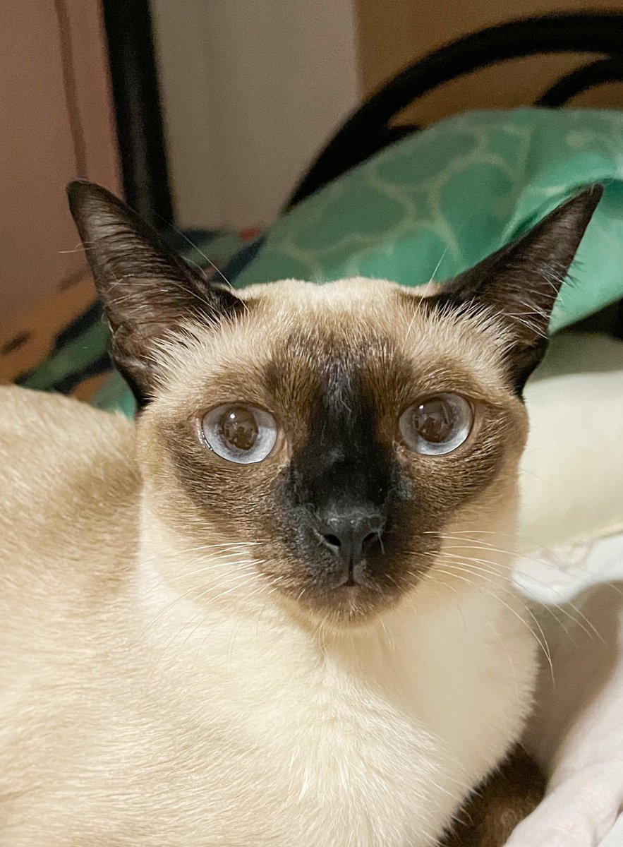 ยิ่งโตยิ่งหน้าดำ เอ้ย น่าร้ากกกก 🤣