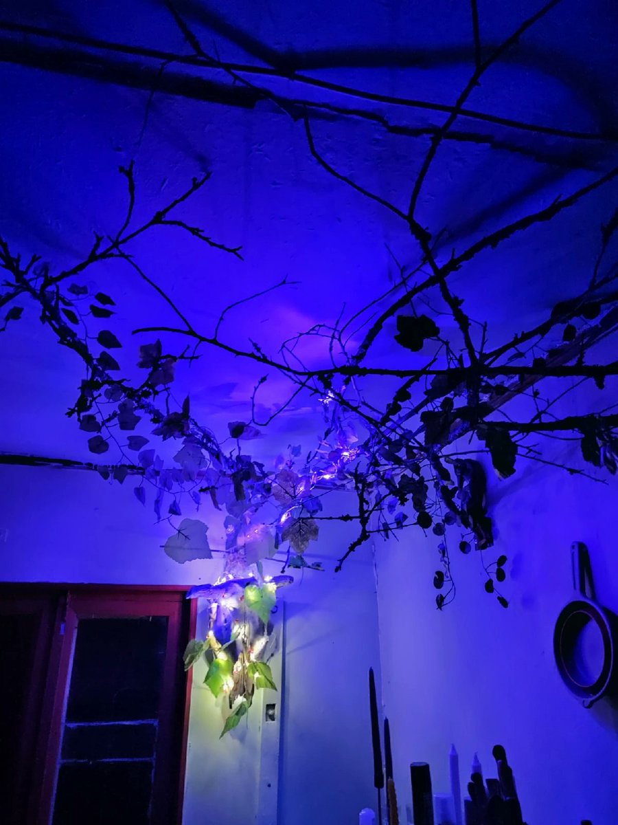 Устраиваю на даче мистический лес