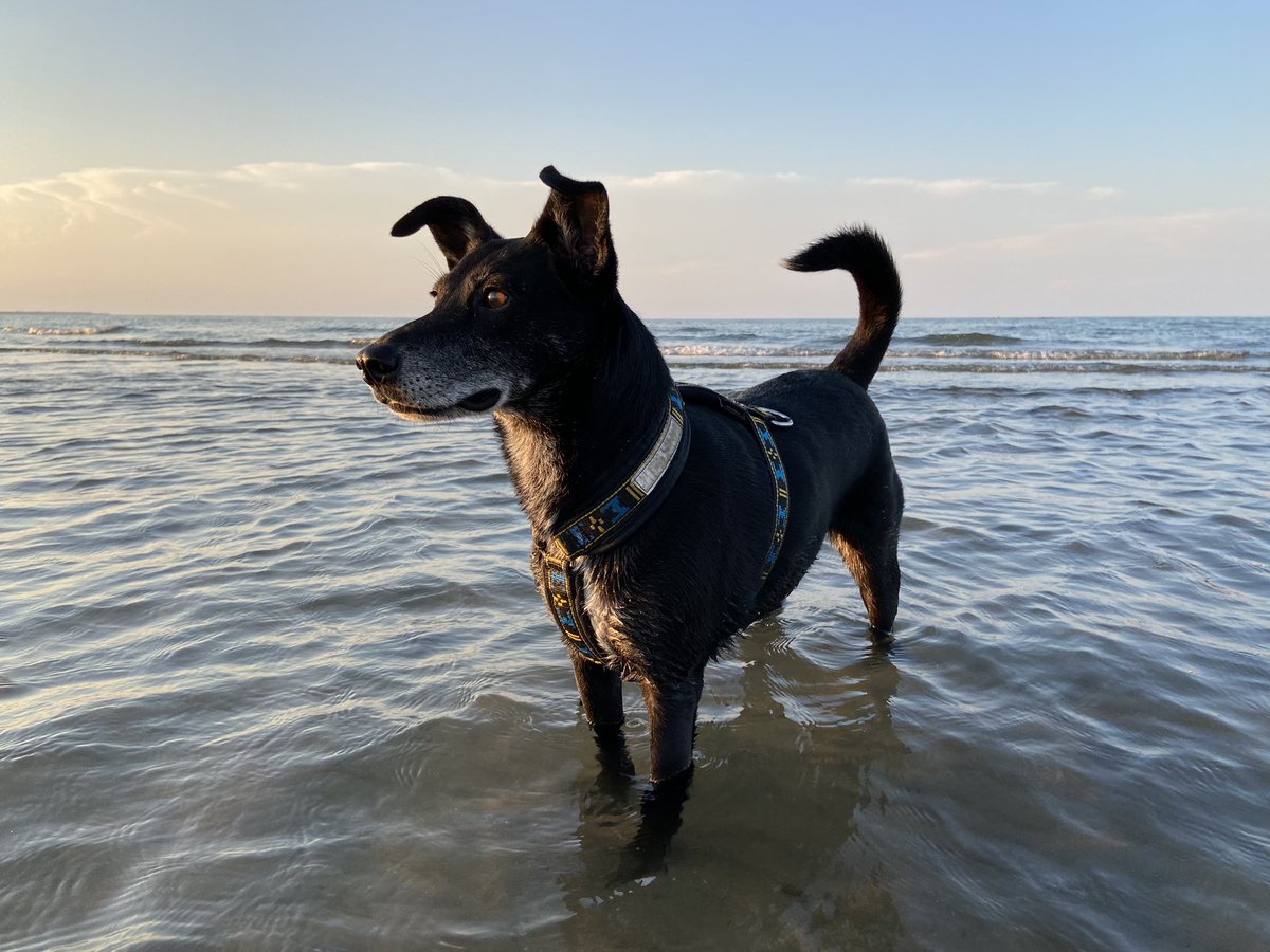 Ben Posch tweet media