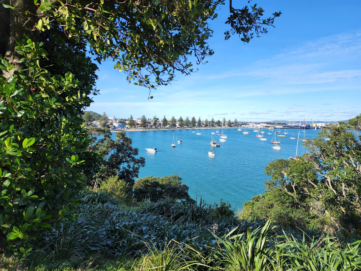 I do love living and working in the UAE, but there really is nothing like home! #HappyHolidays #collabuae #mauao #MountMaunganui #aotearoa #NewZealand