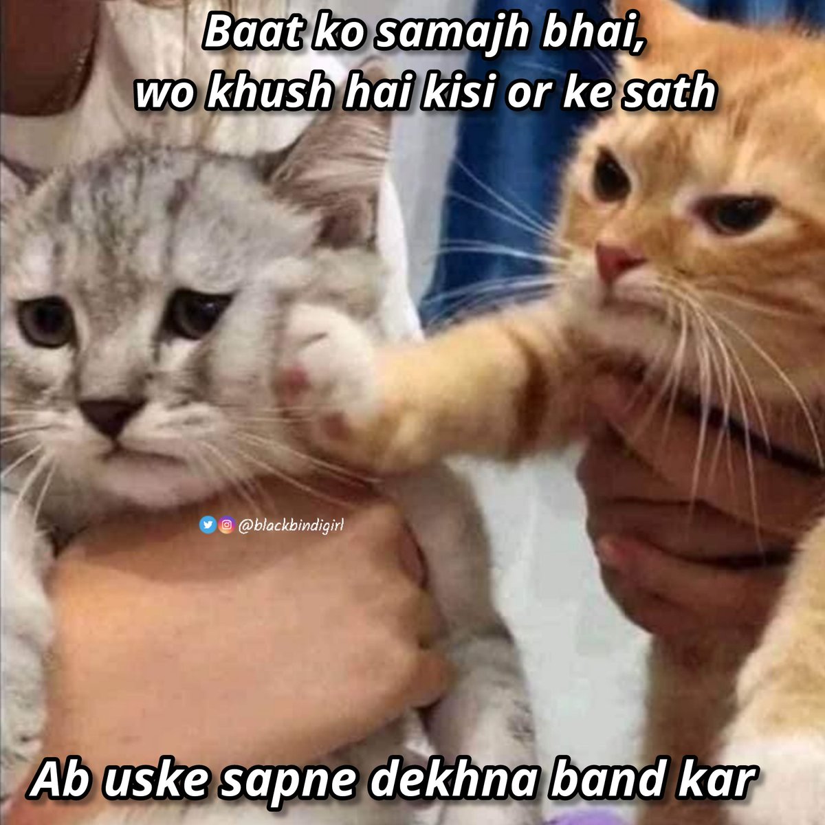जौली ♡☾ (@blackbindigirl) on Twitter photo 