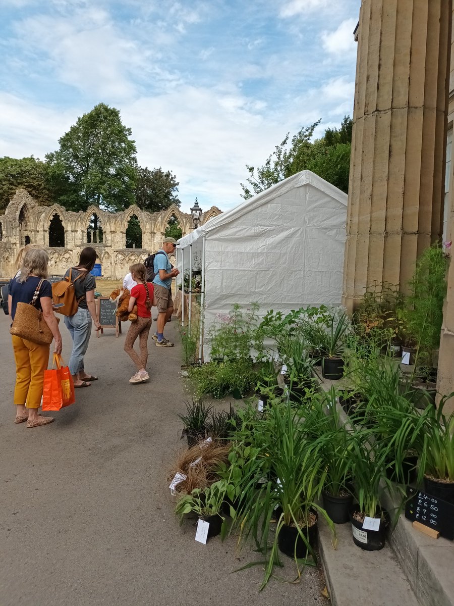 Come to our Pop Up Plant Sale today in <a href="/MuseumGardens/">York Museum Gardens</a> for plants, advice and stories!

#york <a href="/YorkMuseumTrust/">York Museums Trust</a> #plants