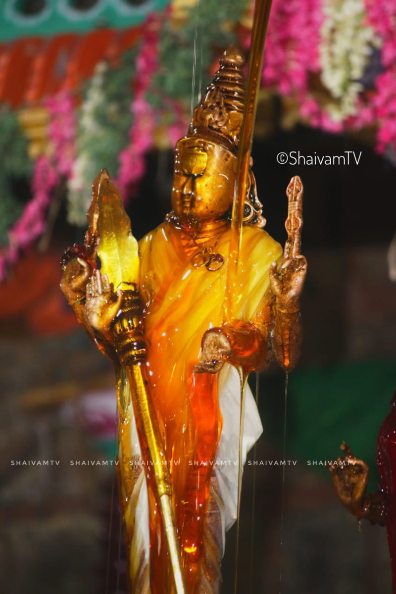 ChokkalingaT's tweet photo. ஆடி கிருத்திகை தருமை ஆதீன வைத்தீஸ்வரன் கோவில் செல்வமுத்துக்குமார சுவாமி வழிபாடு @dharumaiadhenam @narendramodi @ChanakyaaTv @annamalai_k @sundarrajachola https://t.co/UcR8NFl4ky