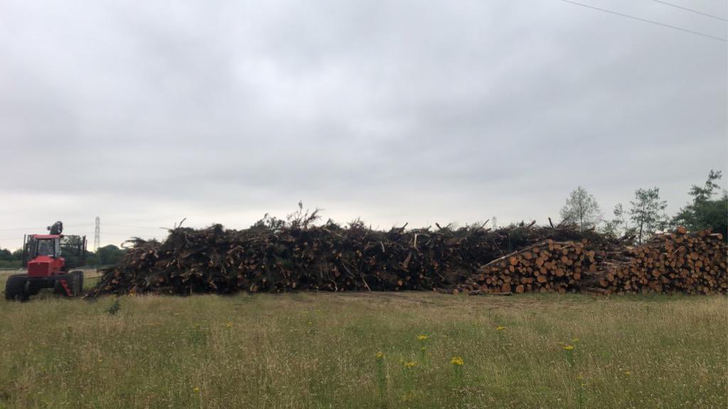 We are getting ready for the chipper. #biomass #renewableenergy
