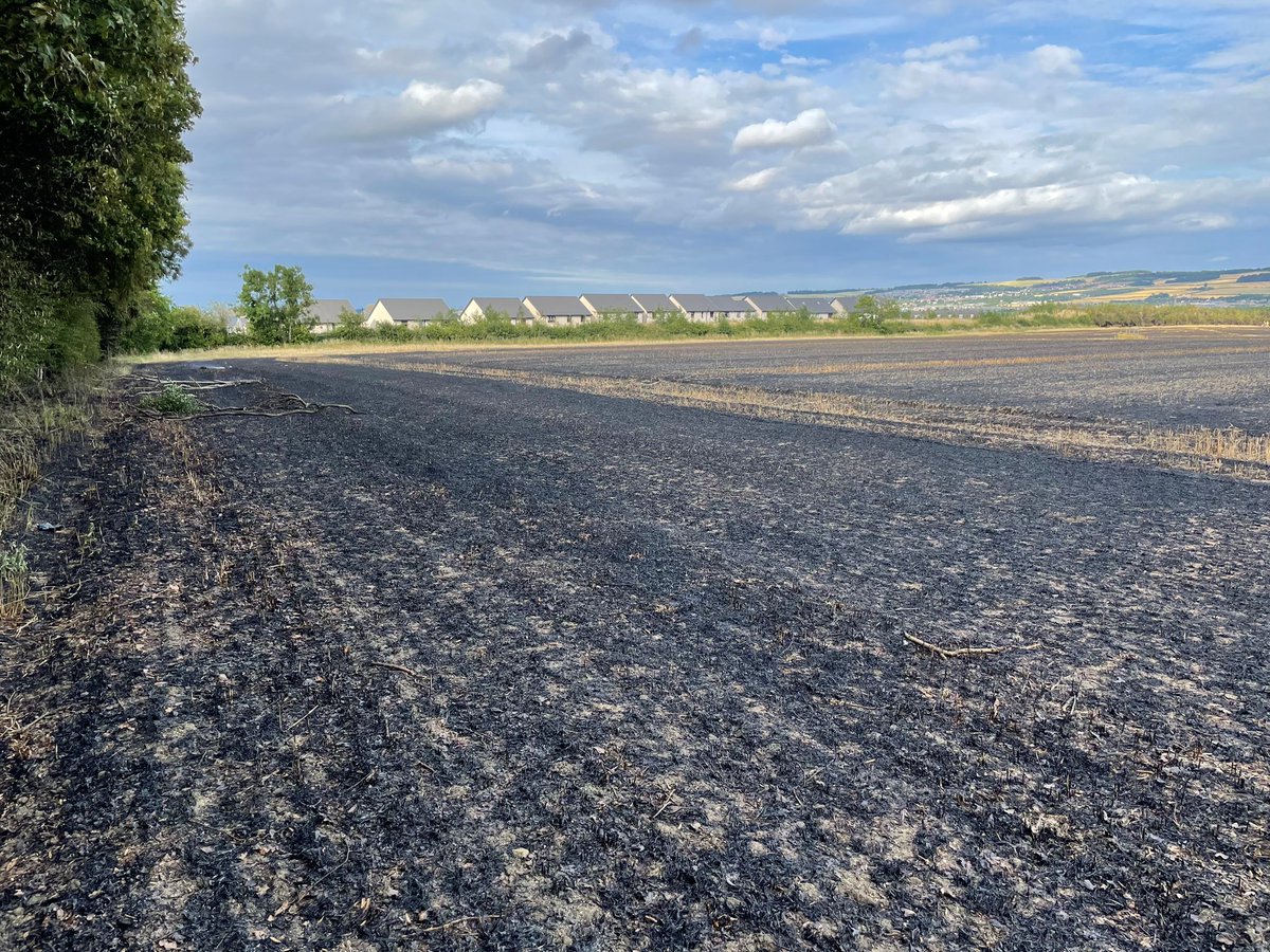 WhitsonElliot's tweet photo. On Thursday evening crews from Musselburgh, Liberton &amp; Penicuik attended a large field fire in Bonnyrigg, &amp; managed to prevent it spreading to nearby properties, again highlighting the care that must be taken during these hot,dry periods. Thanks to @MidLothPolice for the pics. https://t.co/cH8cYlSXRG