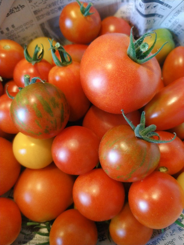 ねいさんすたんだーど Standard Nathan Twitter ねいさんすたんだーど Standard Nathan Twitter