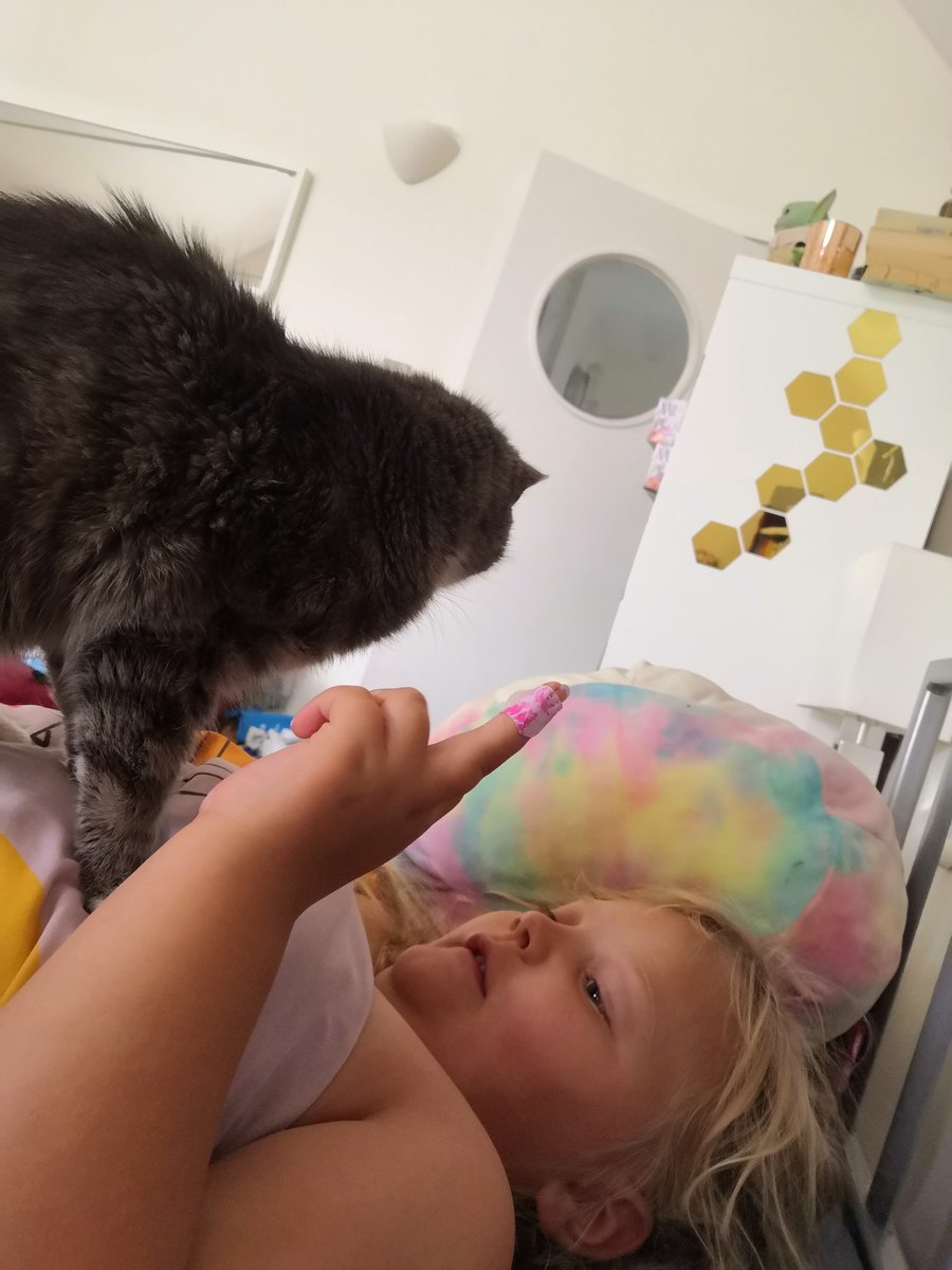 IsabellaTravels's tweet photo. @PericlesCat it's the school holidays, don't wake me up! https://t.co/h1BqhqD1h0