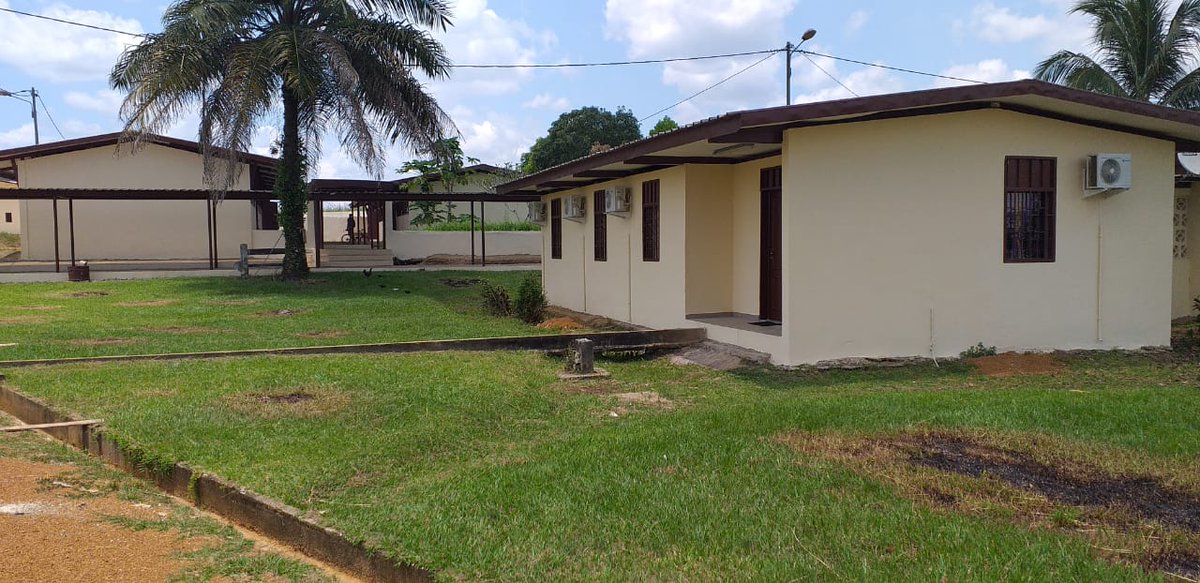 Célestine BA OGUEWA tweet media