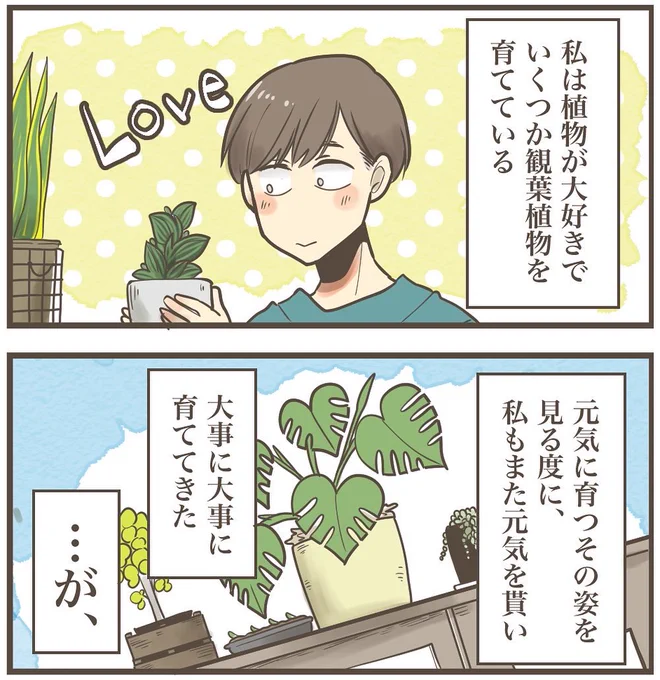 もしまた同じ事が起きても、同じ末路を辿ると思う

(1/2)

#観葉植物 #植物 #丁寧なくらし #夫婦 #漫画が読めるハッシュタグ #漫画 