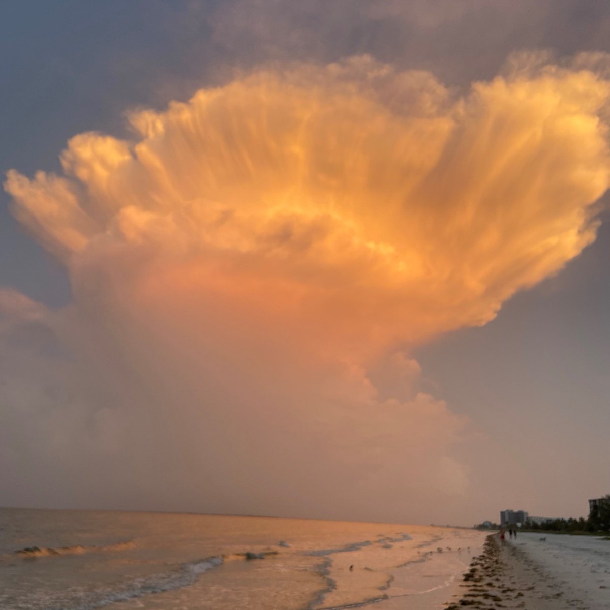 TownofFMB's tweet photo. As the sun rises over Estero Bay (east), clouds over the beach (west) get beautiful light .
#FMBeautiful
#FMBeHere
#FMBeach
#FMB https://t.co/NZFFyz027o