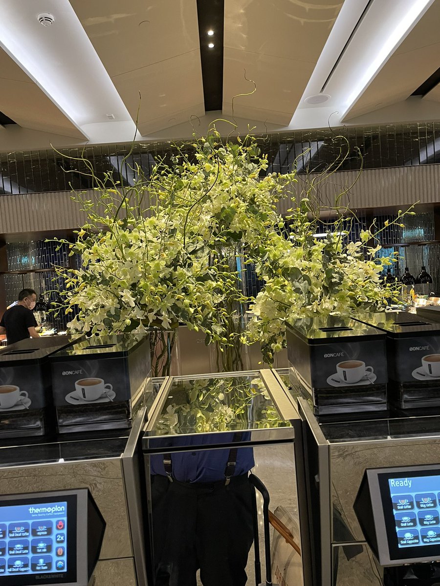 sanjayjavin's tweet photo. otherwise life’s barren without colours.beautiful @ChangiAirport https://t.co/u43n30o9cp
