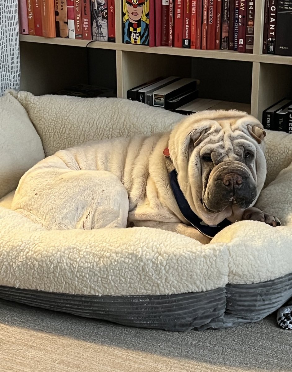 Kristin Chirico tweet media