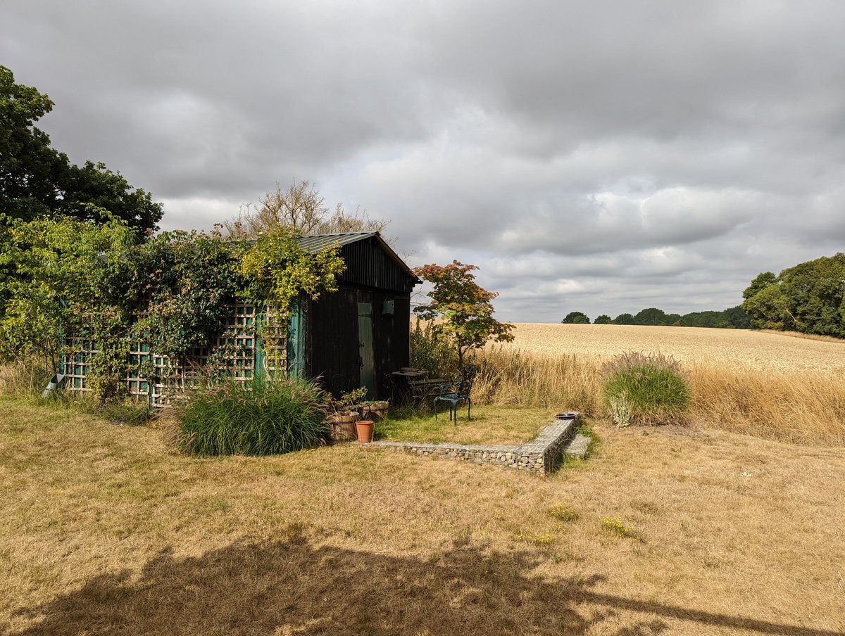 Catriona Riddell tweet media