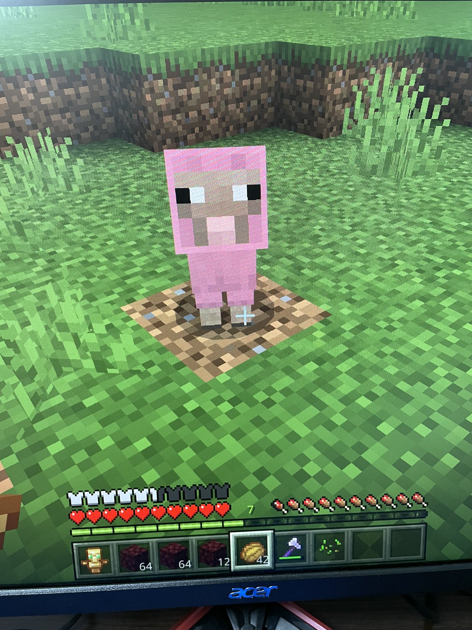 Kei Minecraft ピンクの子羊って大人羊よりレアじゃなかったっけ Pc の方でinした時に出会ったんだけど スクショしたやつを携帯に送る方法がわからなくてpcの画面撮ったw マイクラ マイクラ統合版 マイクラフレンド募集 マイクラがすき T Co