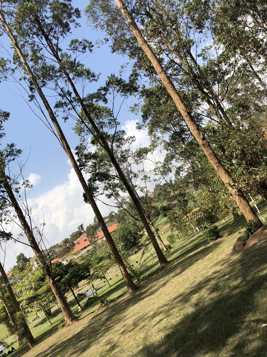 Tembuzi Park tweet media