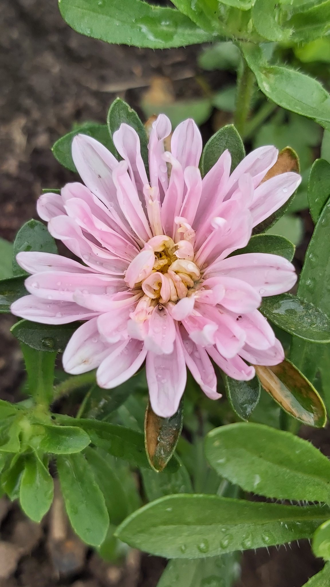 Исток on Twitter: "@ThomasM73576526 💚🌿 https://t.co/sgjCHSPVY0" / Twitter