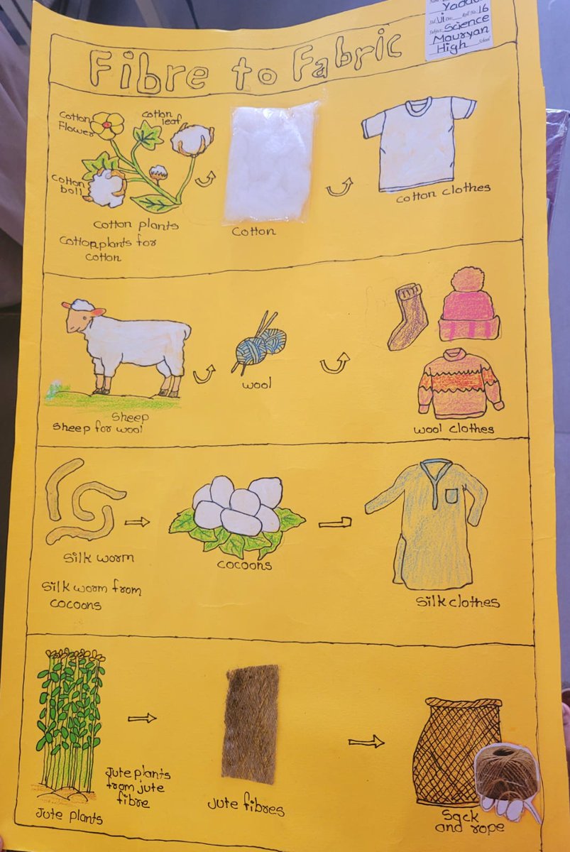 MauryanHigh's tweet photo. Fibre to Fabric chart activity by the students of Grade 6.. #FibretoFabric #fibrecollection #postermaking #yarnmaking #fibreprocessing
#MauryanHigh #WeAreMauryans #MHS #CBSESchool #VadodarasGurukul #vadodara https://t.co/vo4D1iSwDj