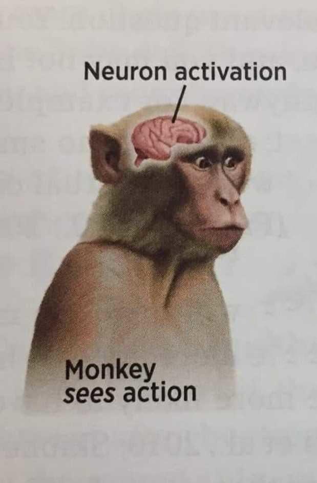 fliprepeat's tweet photo. the only chart that matters 

monkey see monkey buy

#lookintobitcoin #buysignal #bitcoin https://t.co/3gfSv3zyY9