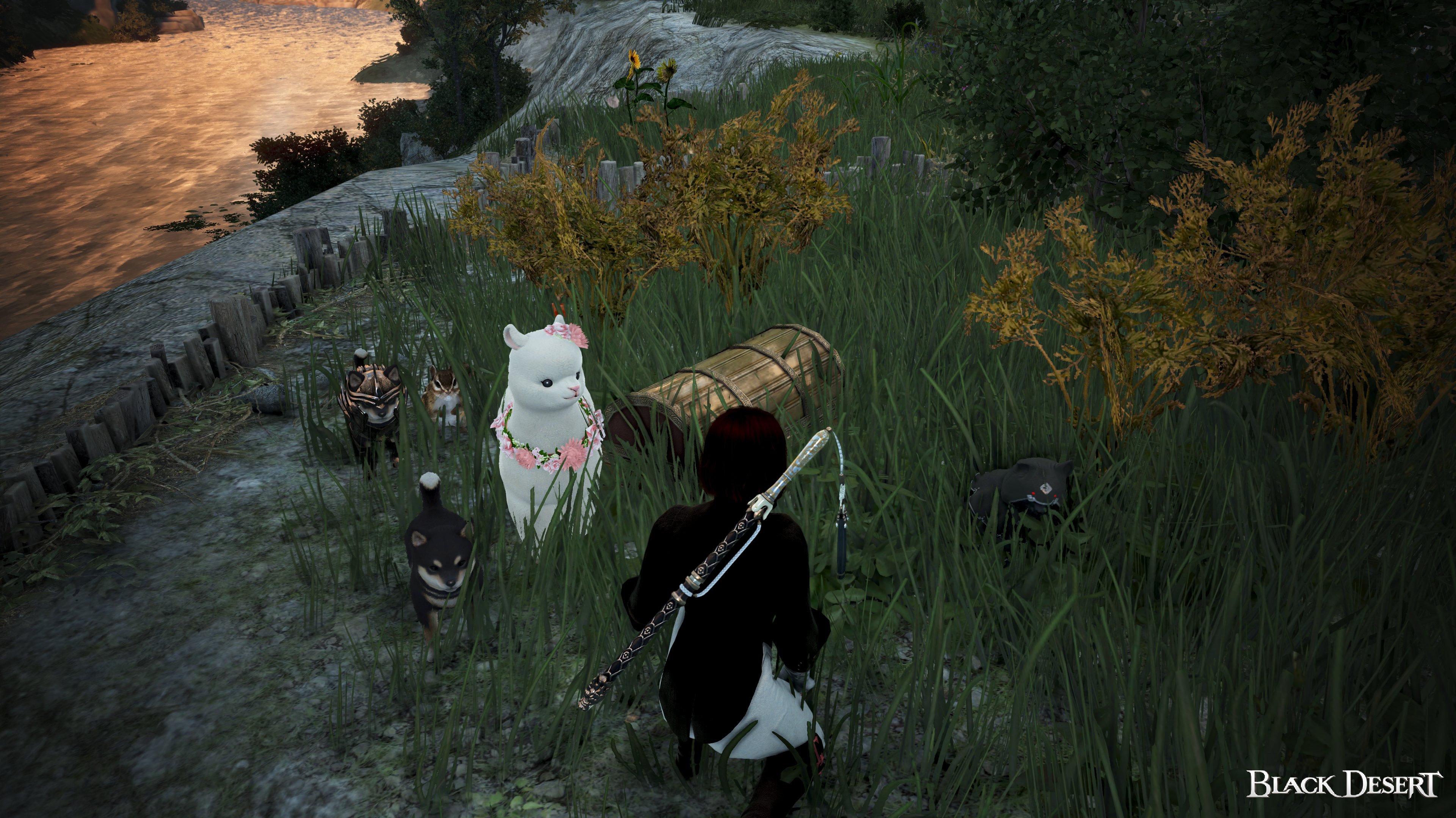 黒いごばく 黒い砂漠 うちの菜園に黄金宝箱が置いてあるけど 金の鍵は新しく実装された謎の箱に使いたいよね どうしようか 黒い砂漠 T Co Ydcbtazx Twitter