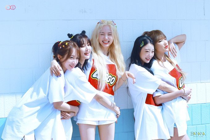 womenchielou's tweet photo. COMEBACK TO US 🥺🥺 #EXID #Exidleggo https://t.co/TOGcuMfhQF
