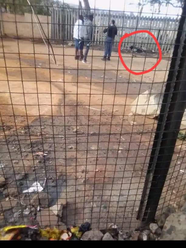 Flyingnews7's tweet photo. Alexandra Residents continues Eliminating Criminals out of the Community .This one was terrorizing People using a gun, community members caught him then he was taken to Setswetla next to cemetery where he was brutally beaten until his last breath,his body was burnt
#FlyingNews🦅 https://t.co/jnPrFGwbyD