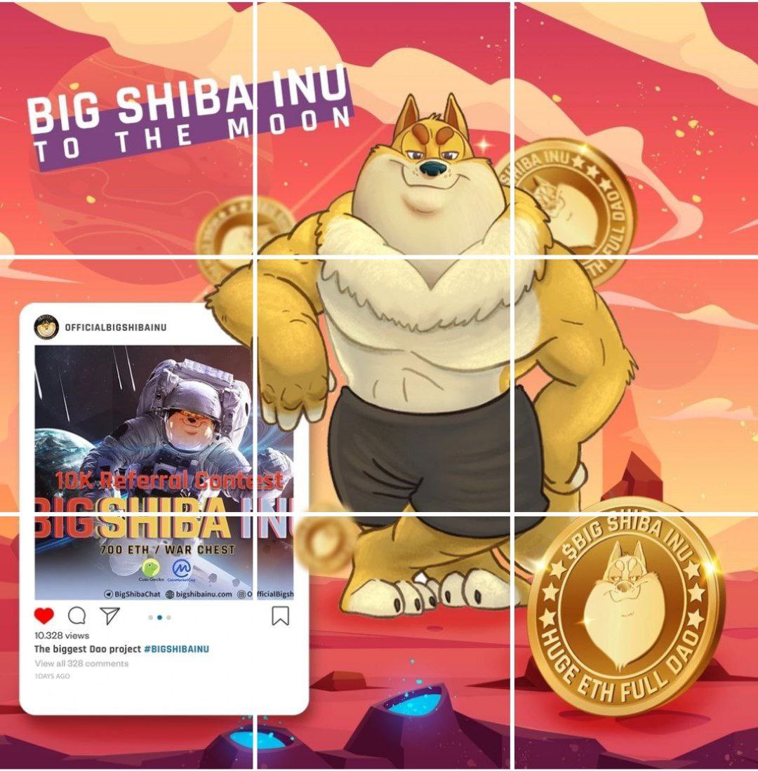 Ste_Cha78's tweet photo. Good things come to those who wait ⏰

@BigShibaInu will be the DAO of the next #bullrun 

#ETH #BNB #BTC #ADA https://t.co/KNEqW8fQcs