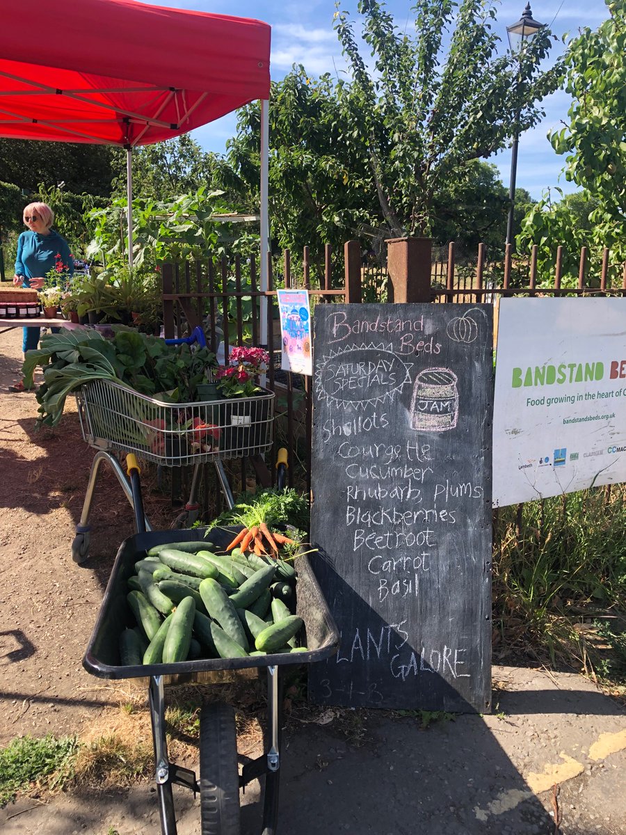 Bandstand Beds tweet media
