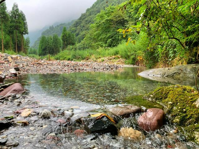 damoduli's tweet photo. Get out of the hustle and bustle of the city. Back to nature, let the mind be purified and washed. https://t.co/B3ZSYvwYKj