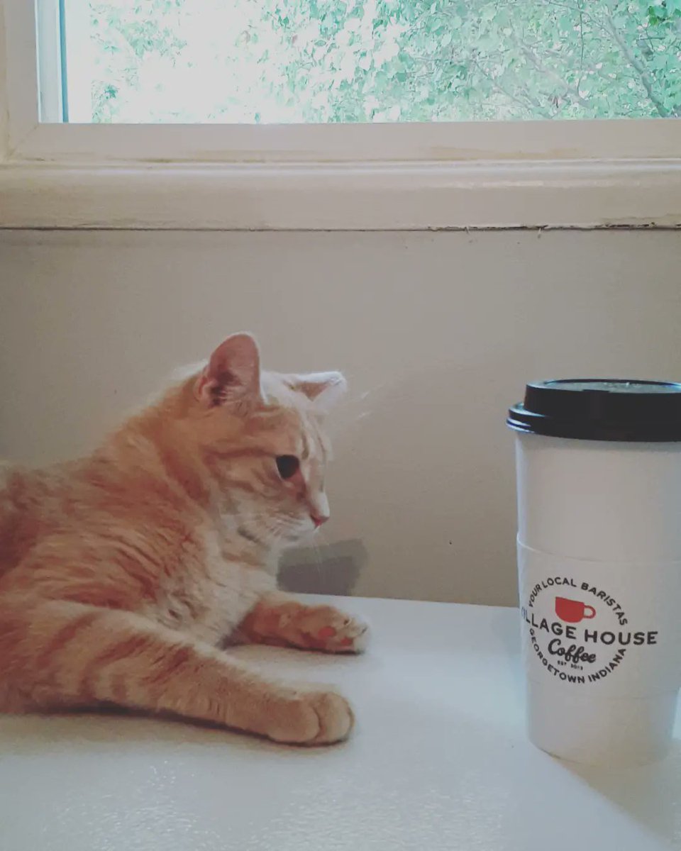 AutumnSaysHey's tweet photo. A local treat! Cas approves the Café Miel from @VH_Coffee ☕🐝
.
.
.
#coffee #coffeeshop #local #soin #whereintheworldisautumnelaine https://t.co/vSvz3i6rzX