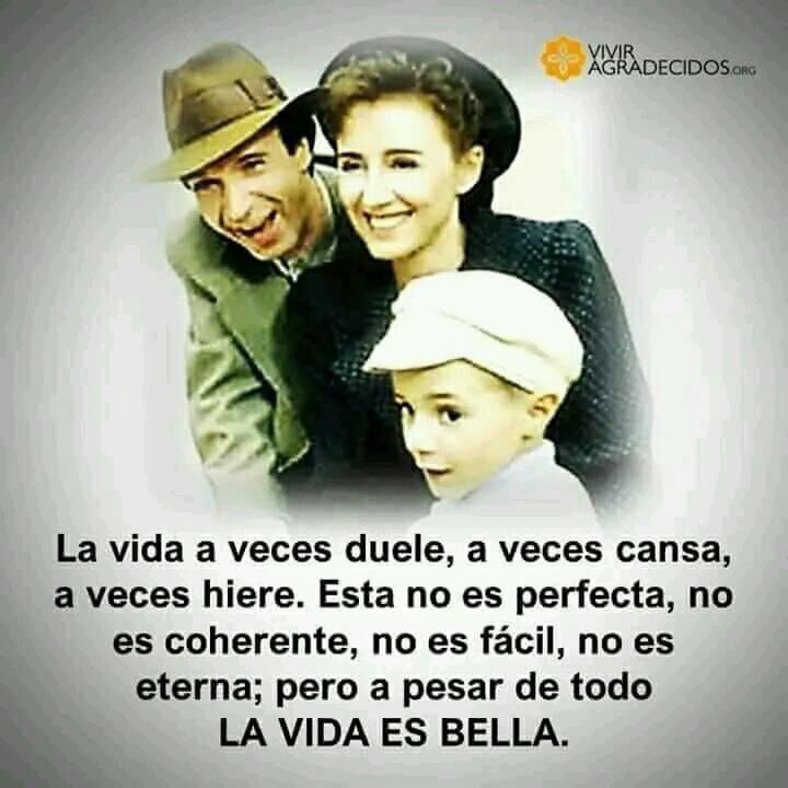 sangreechinche's tweet photo. #SimplementeVive 🪄 https://t.co/yjrZqTIeX9