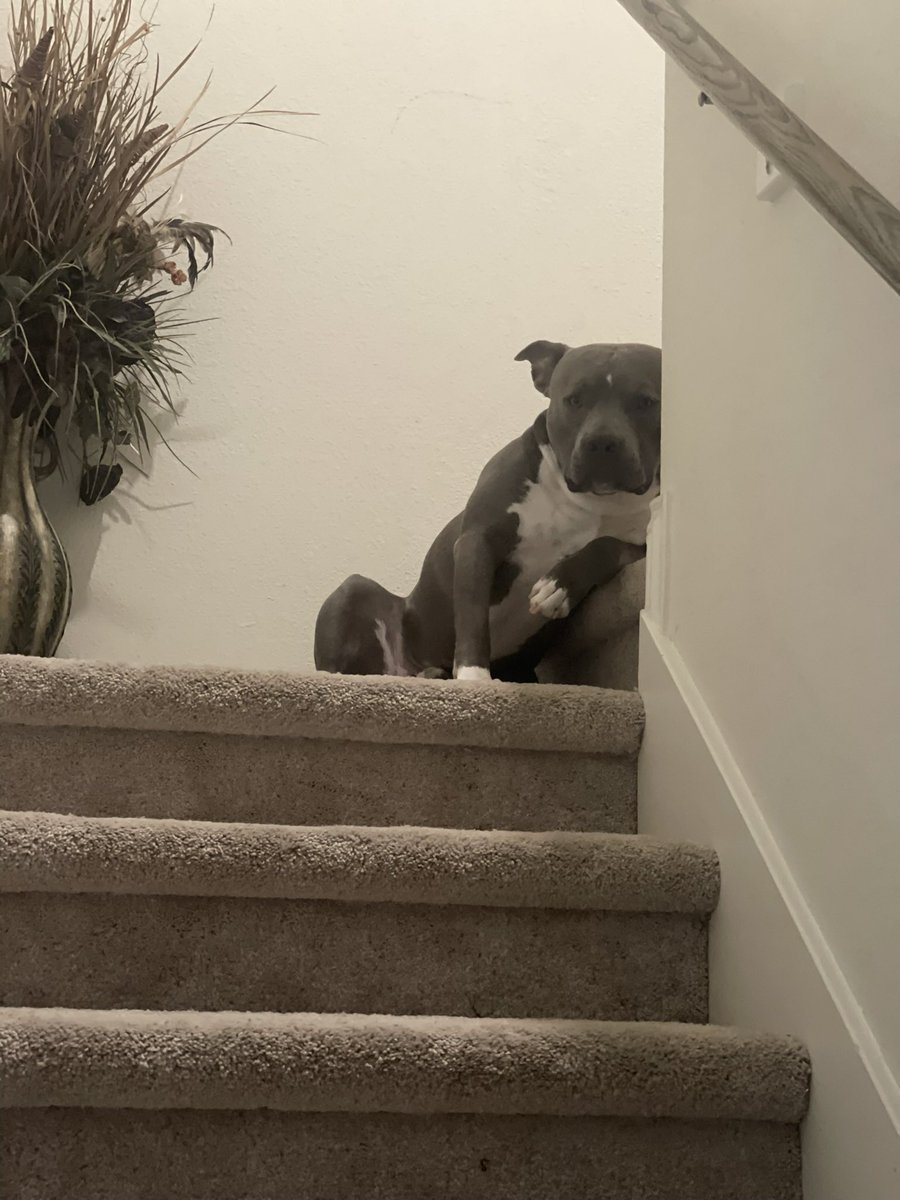 UncleRoc tweet media