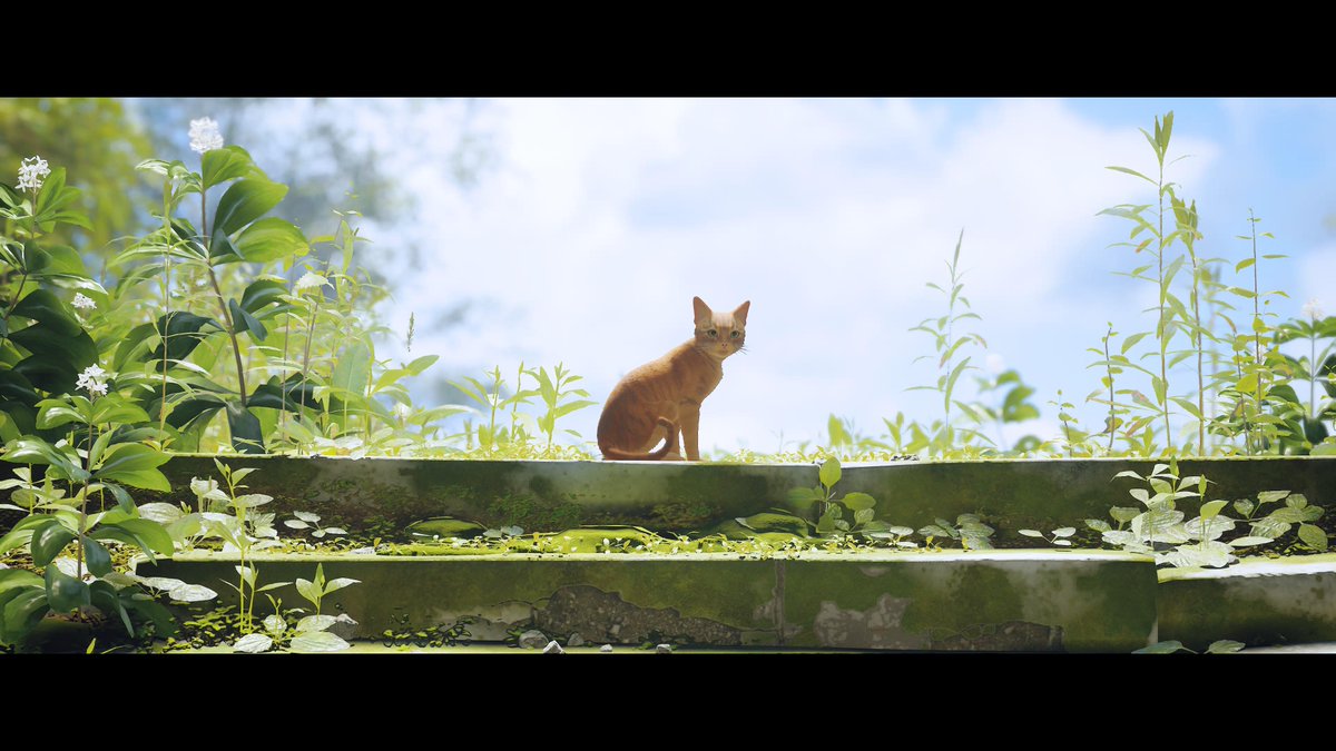 therealgeneric's tweet image. #PS5Share, #Stray