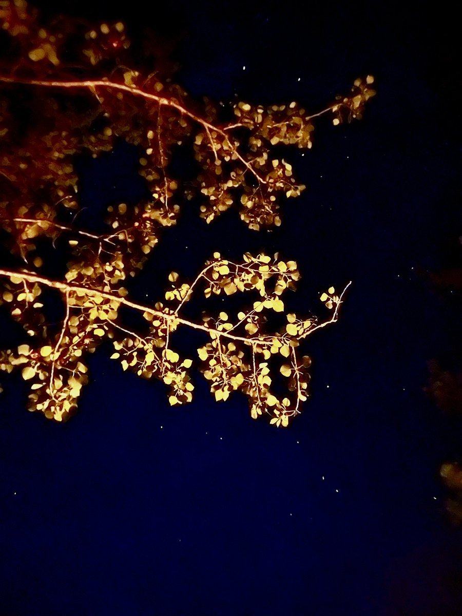 People ask me how they can help healthcare providers. 

1. Learn CPR
2. Carry naloxone
3. Exercise every day. 
4. Cook your own meals. (Mostly)
5. Vote always. 
6. Ongoing adult education. 
7. Volunteer

Sounds simple, but if we did them all the world would be a better place.