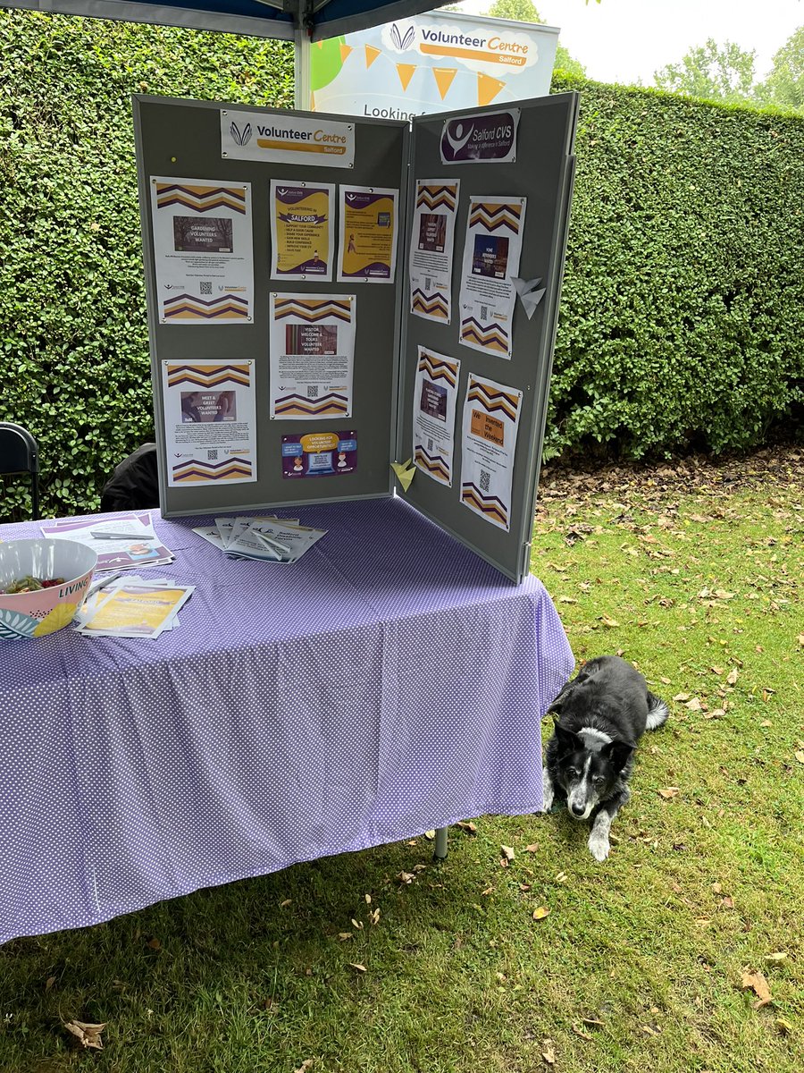 martynwillcock's tweet photo. Busy day at @MadPride19 in Victoria Park, Swinton - spending a few hours on the @SalfordCVS stand. @CEOSalfordCVS @MattersSalford @SalfordWildlife https://t.co/pH6CRTlsEv